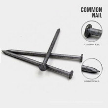 Hot Selling Common Iron Nail Chinese Common Nails